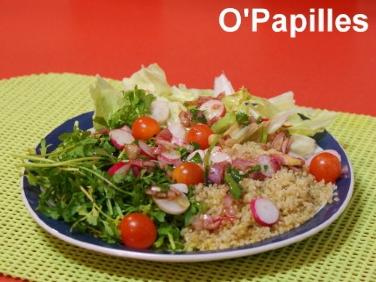 Salade de chicorée pain de sucre Bonne Pioche et compagnie