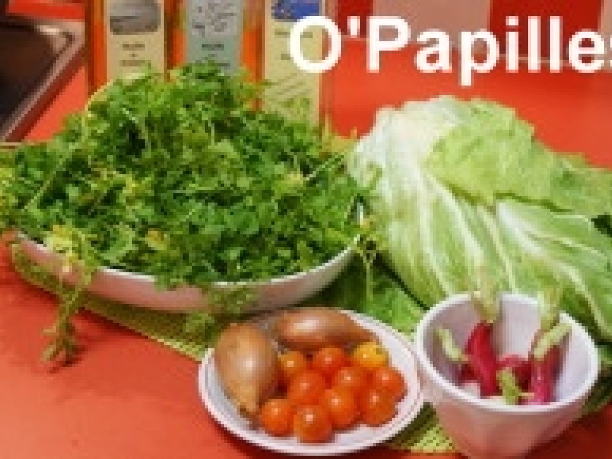 Recette de salade de cresson et chicorée pain de sucre