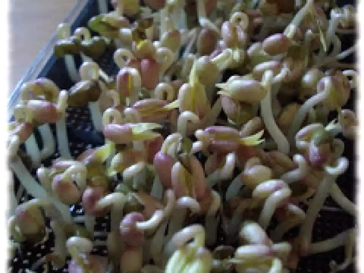 Salade de haricots, feta et graines de soja maison - photo 2