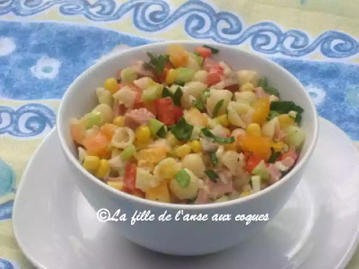 SALADE DE JAMBON ET DE COQUILLETTES - photo 2