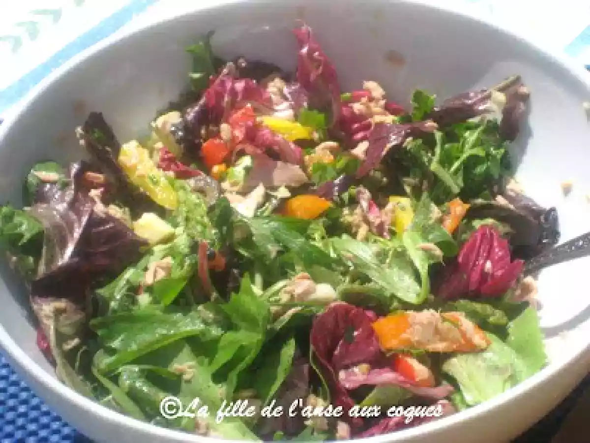 SALADE DE MESCLUN ET DE THON