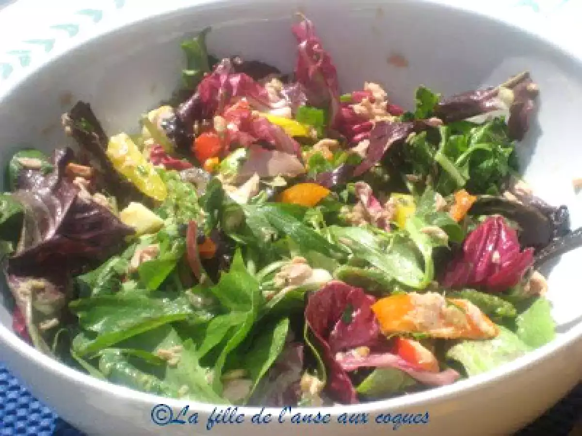 SALADE DE MESCLUN ET DE THON - photo 4