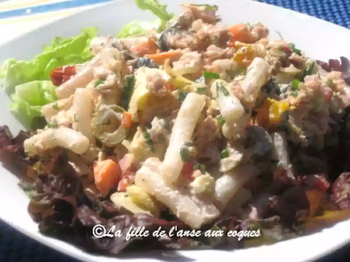 SALADE DE PÂTES AU QUINOA, AU SAUMON ET AUX LÉGUMES - photo 2
