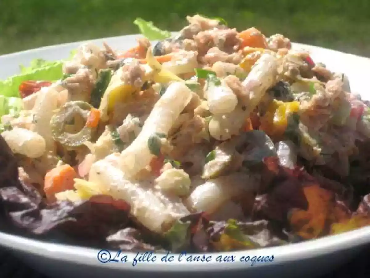 SALADE DE PÂTES AU QUINOA, AU SAUMON ET AUX LÉGUMES - photo 4