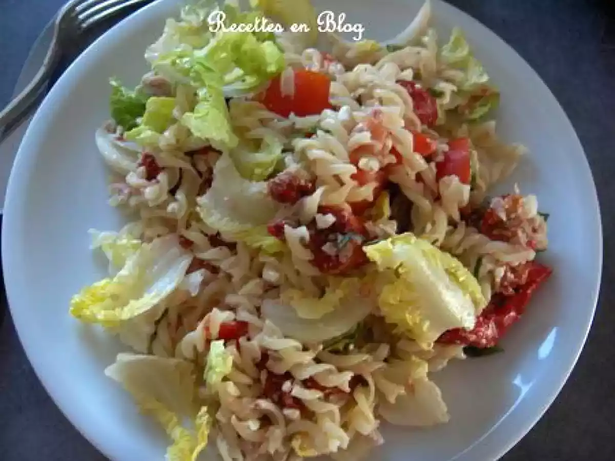 SALADE DE PATES, FETA, THON, BASILIC - photo 2