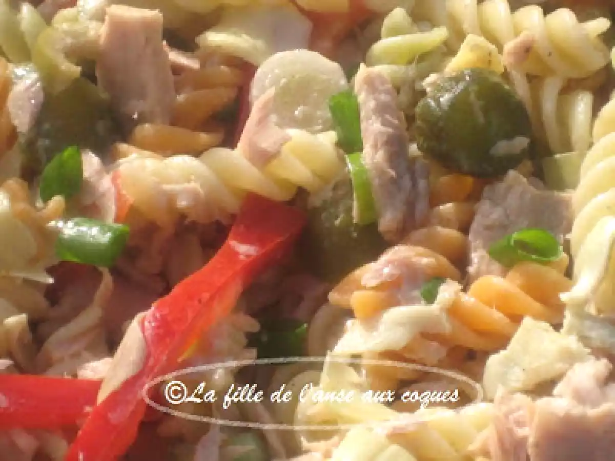 SALADE DE PÂTES MULTICOLORES ET THON - photo 4