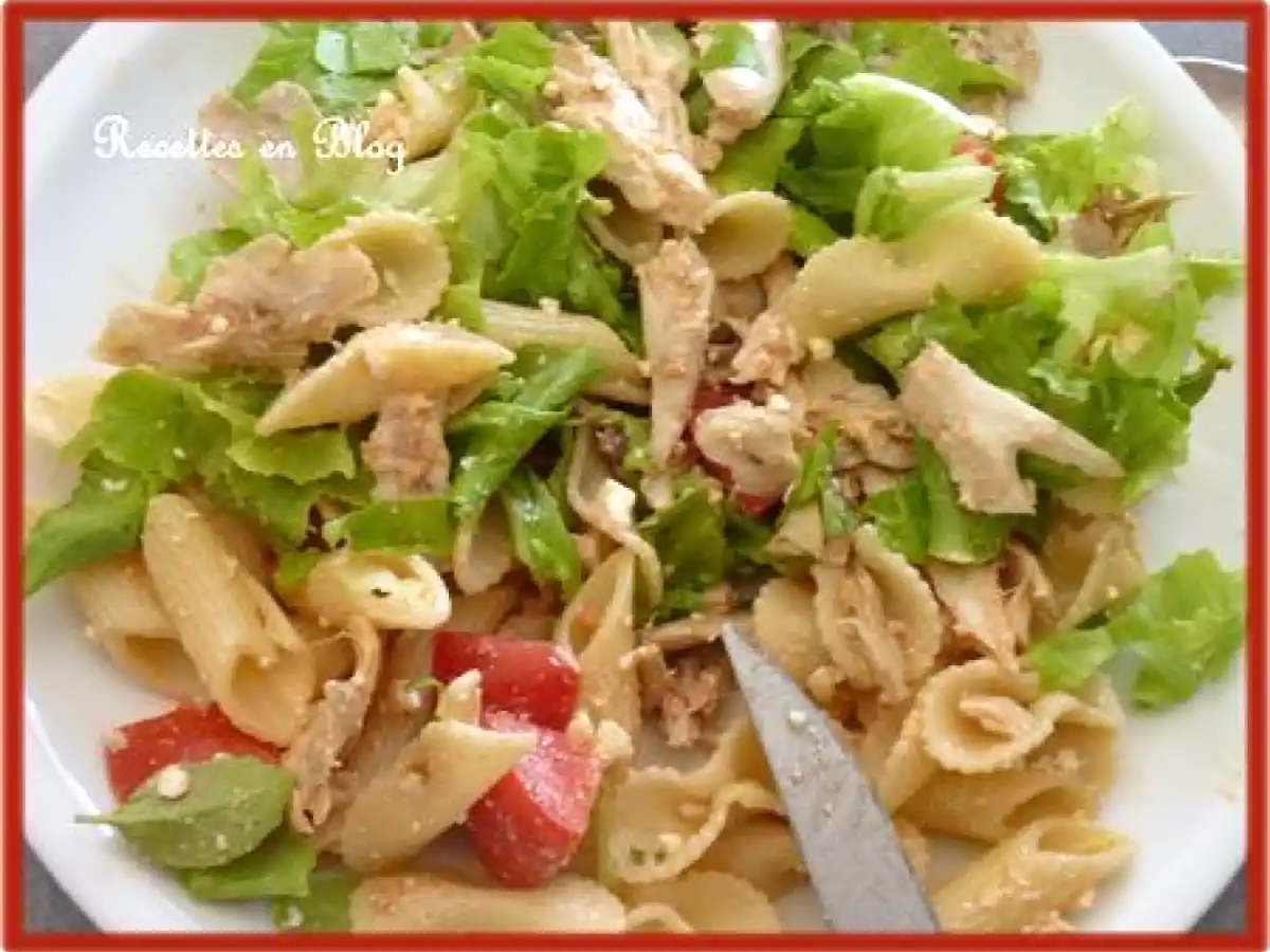 SALADE DE PÂTES POULET TOMATE FÊTA - photo 2