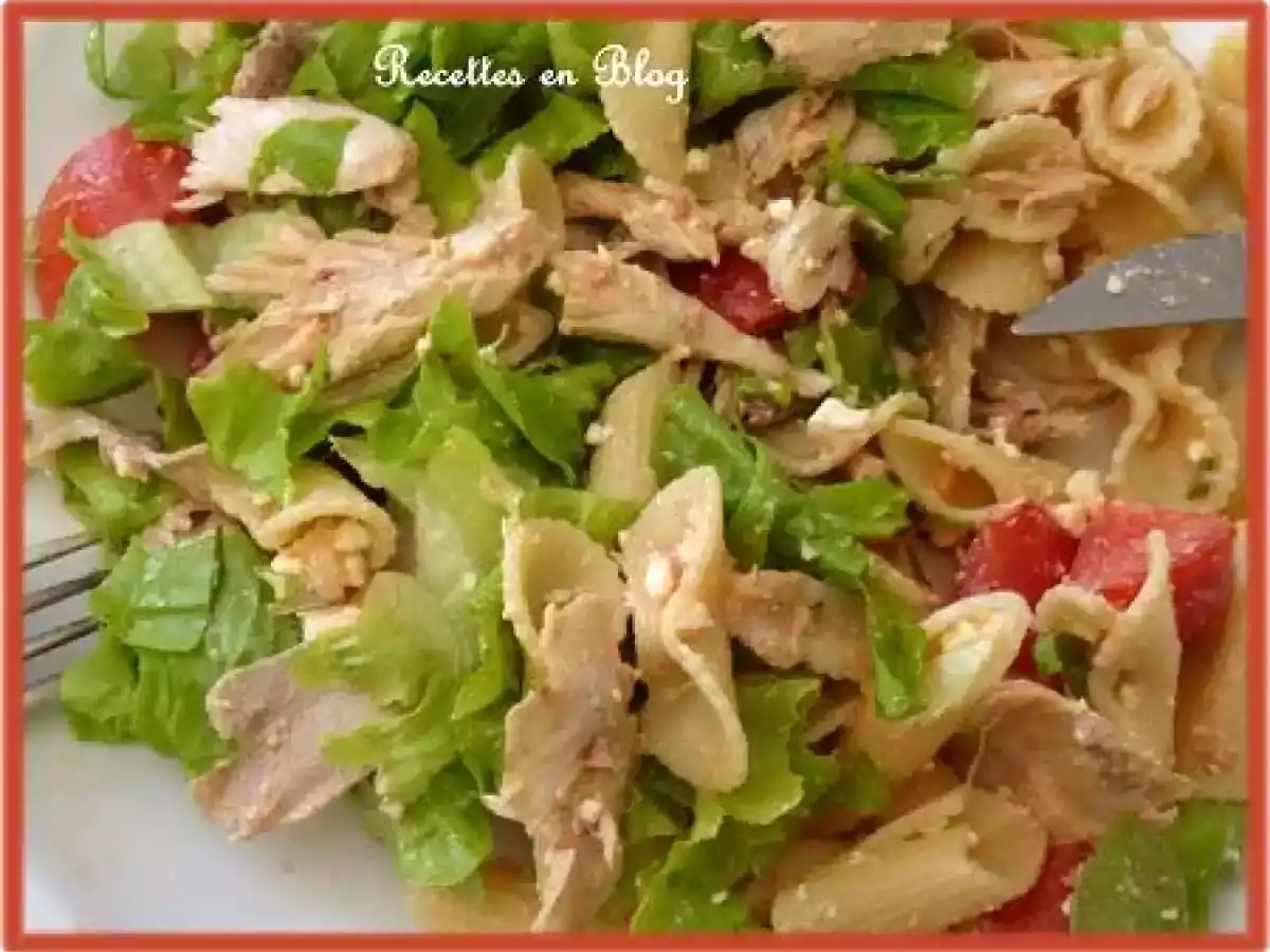 SALADE DE PÂTES POULET TOMATE FÊTA - photo 3