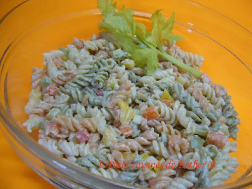 Salade de pâtes tricolores, photo 1