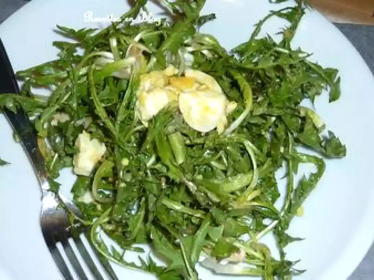 SALADE DE PISSENLITS AUX OEUFS DURS - photo 2