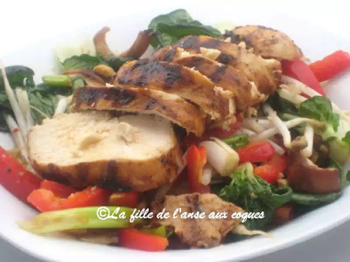 SALADE DE POULET GRILLÉ À LA THAÏ - photo 2
