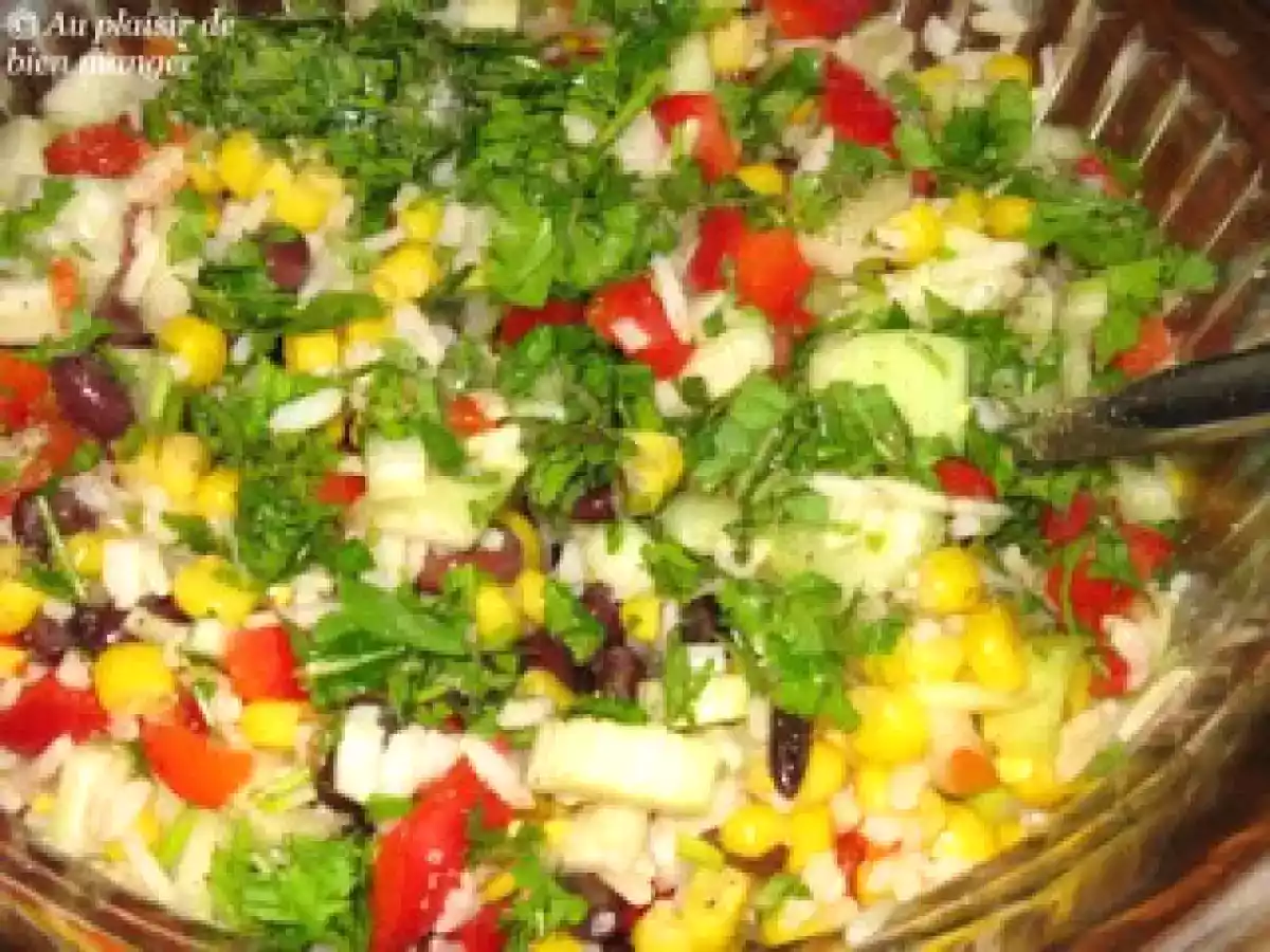 Salade de poulet grillé Tex Mex - photo 2