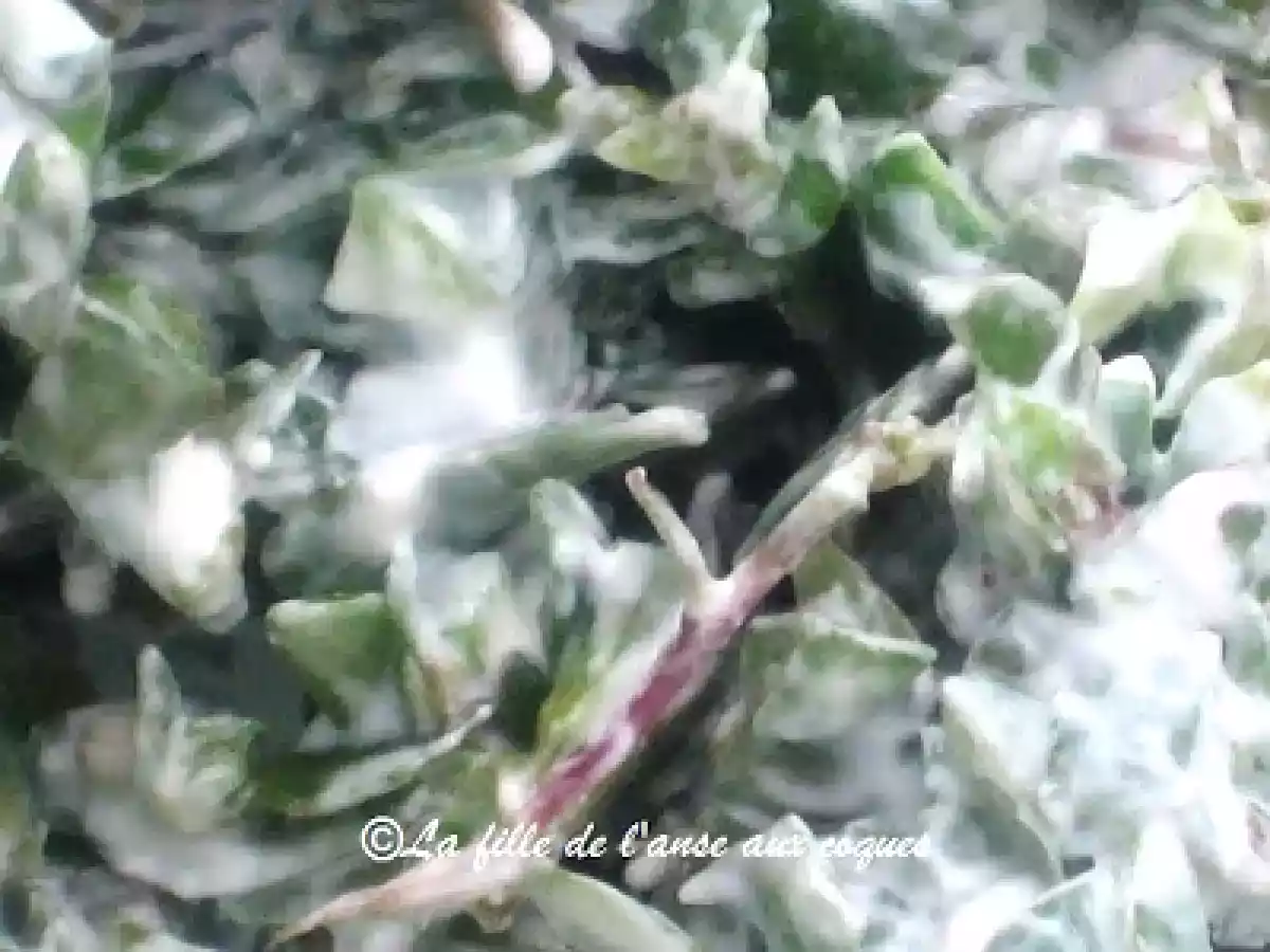 SALADE DE POURPIER - photo 4