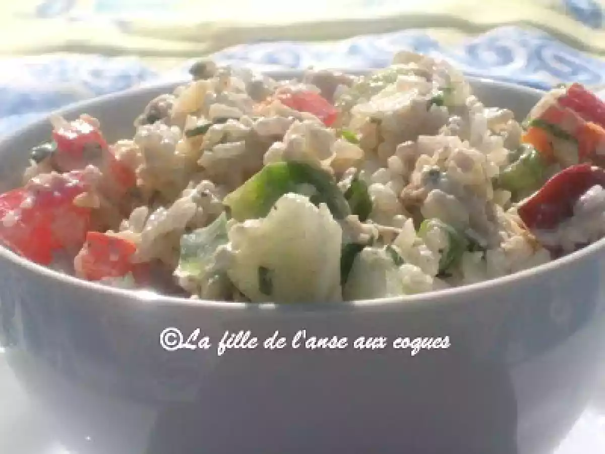 SALADE DE RIZ AU POULET, POMMES ET NOIX - photo 3