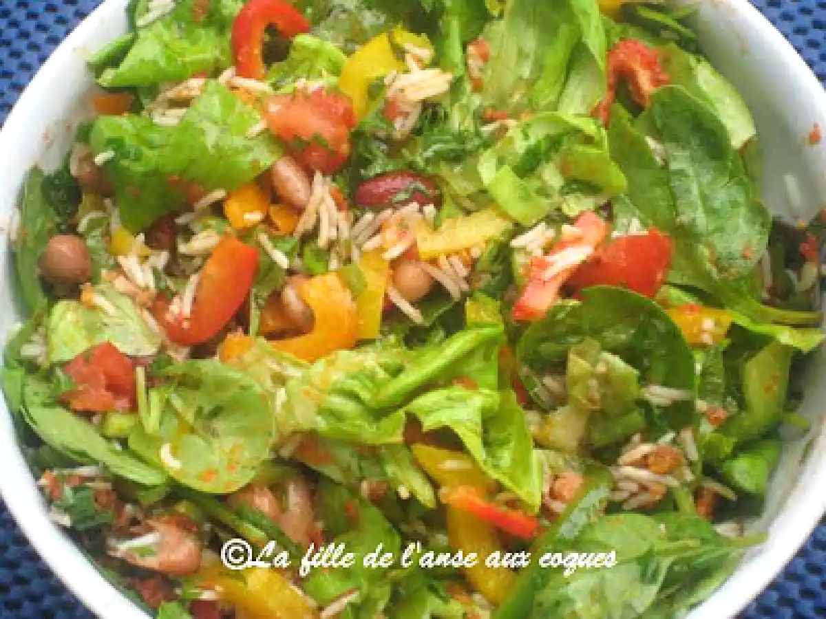 SALADE DE RIZ (ENTIER) AUX POIVRONS