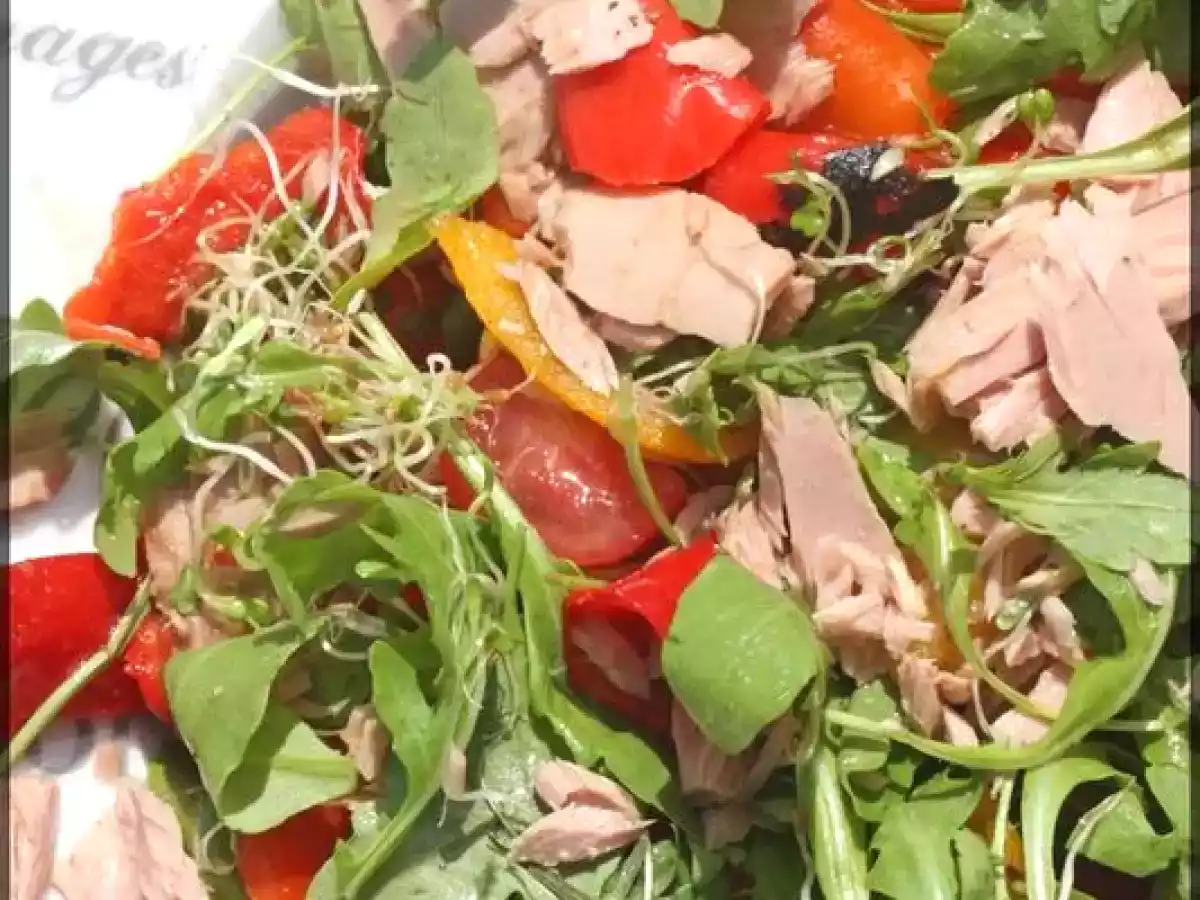 Salade de roquette aux graines germées de roquettes