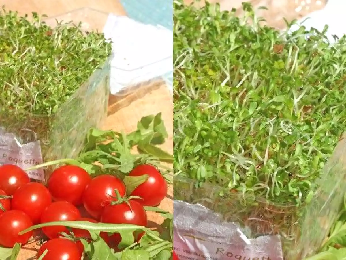 Salade de roquette aux graines germées de roquettes - photo 2