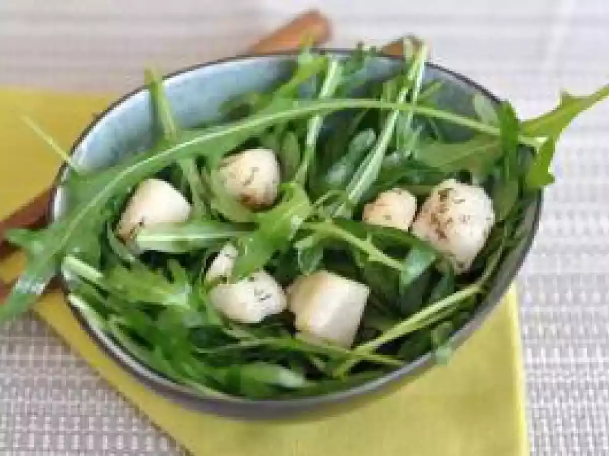 Salade de roquette aux petoncles