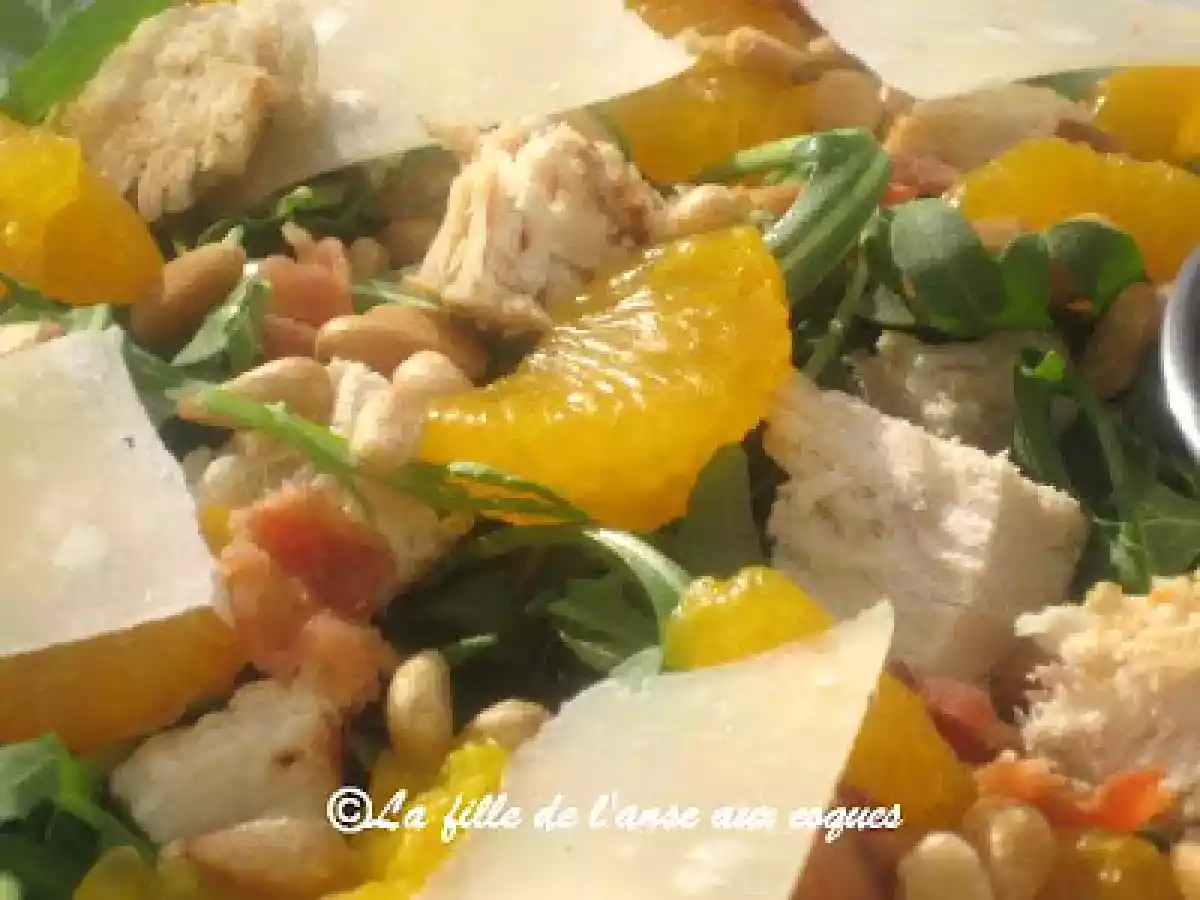 SALADE DE ROQUETTE, POULET, COPEAUX DE PARMESAN ET PIGNONS - photo 4