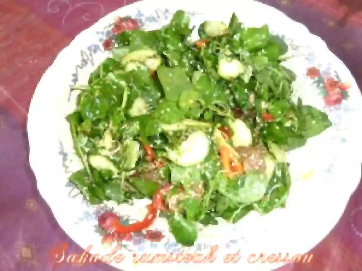 Salade énergisante aux boeuf et cresson - photo 2