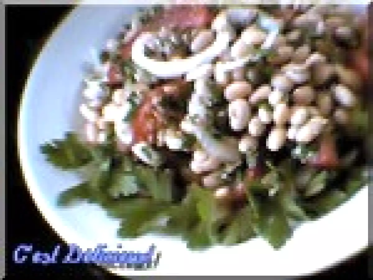 Salade italienne aux haricots blancs et au thon