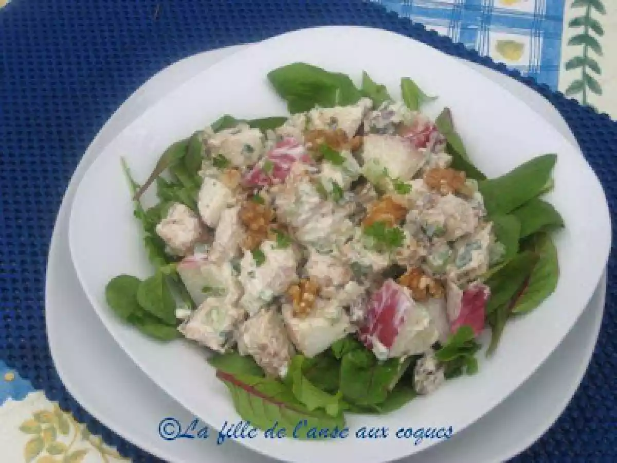 SALADE MESCLUN DE POULET ET DE POMMES DU VERGER