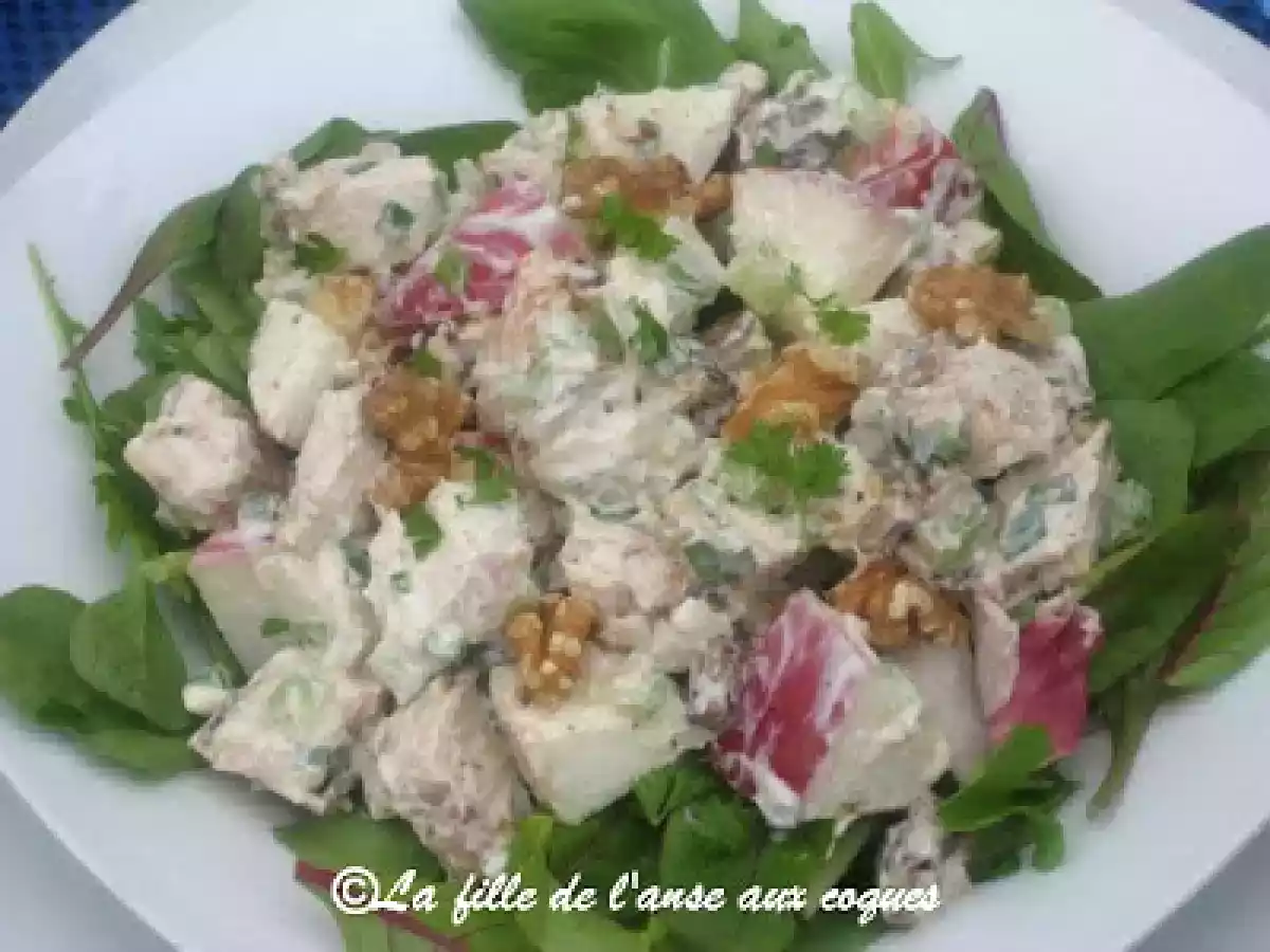 SALADE MESCLUN DE POULET ET DE POMMES DU VERGER - photo 2
