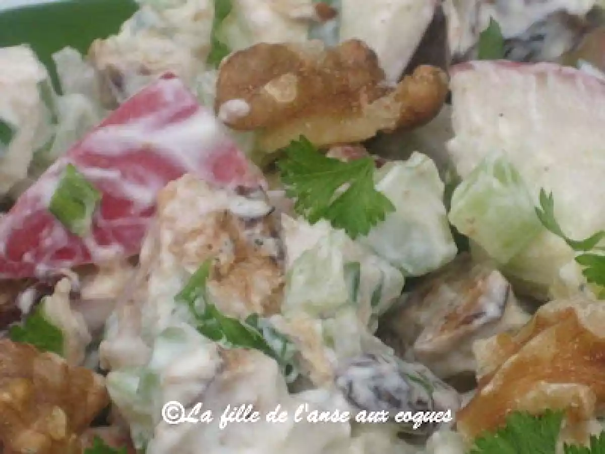 SALADE MESCLUN DE POULET ET DE POMMES DU VERGER - photo 3