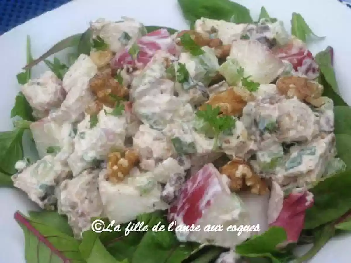 SALADE MESCLUN DE POULET ET DE POMMES DU VERGER - photo 4