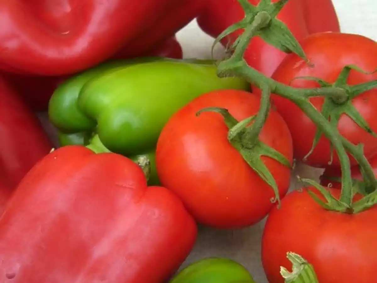 Salade orientale chouchouka - photo 3