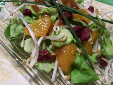 Salade Verte aux germes de haricots et mandarines - photo 2