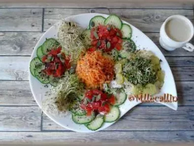 Salade vitalité crudités et graines germées - photo 2