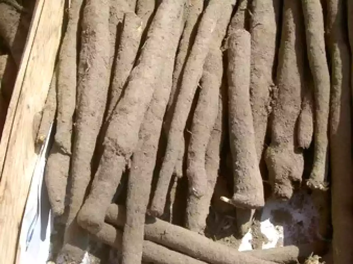 Salsifis au parmesan - photo 2