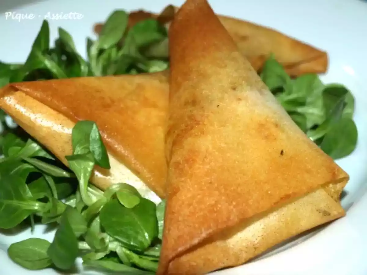 Samossa au thon, poireaux et curry