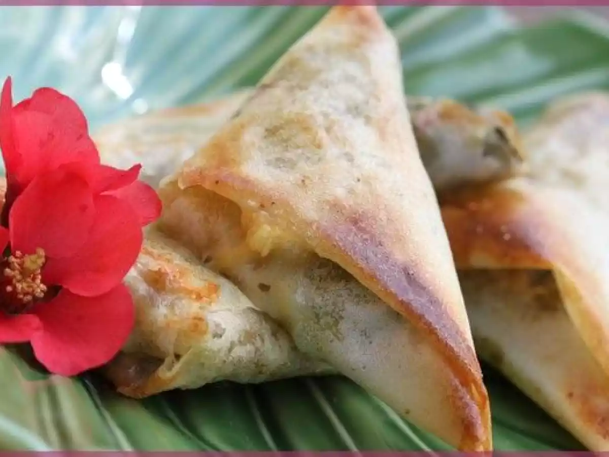 Samossa courgette-pesto-chèvre - photo 2