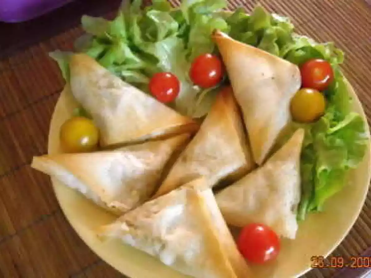 Samossas aux aubergines - photo 2