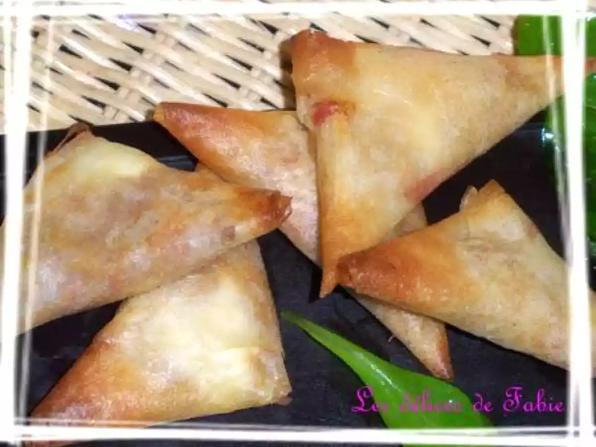 Samousas thon - tomate - photo 2