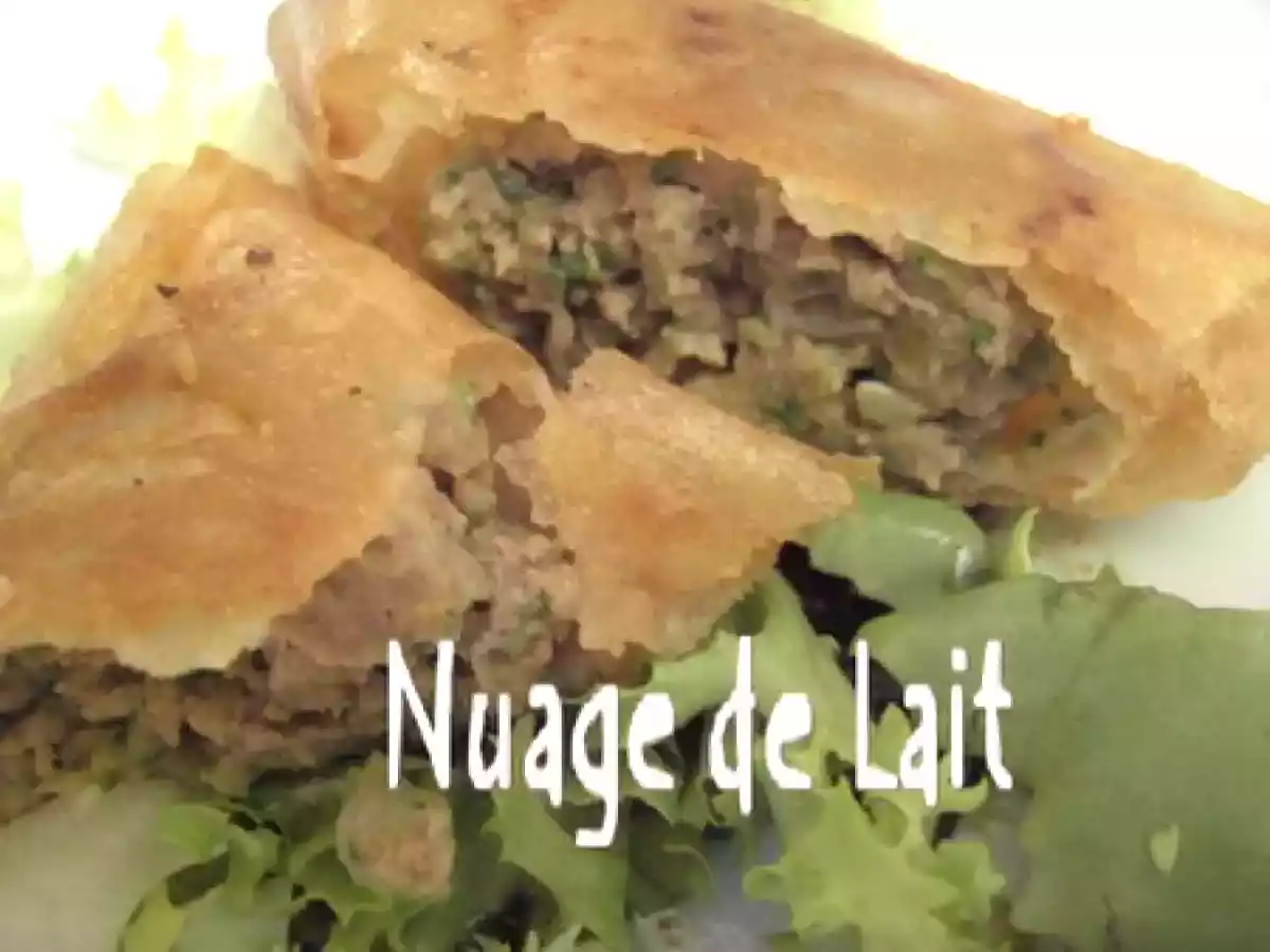 Samoussas au Boeuf et Gingembre