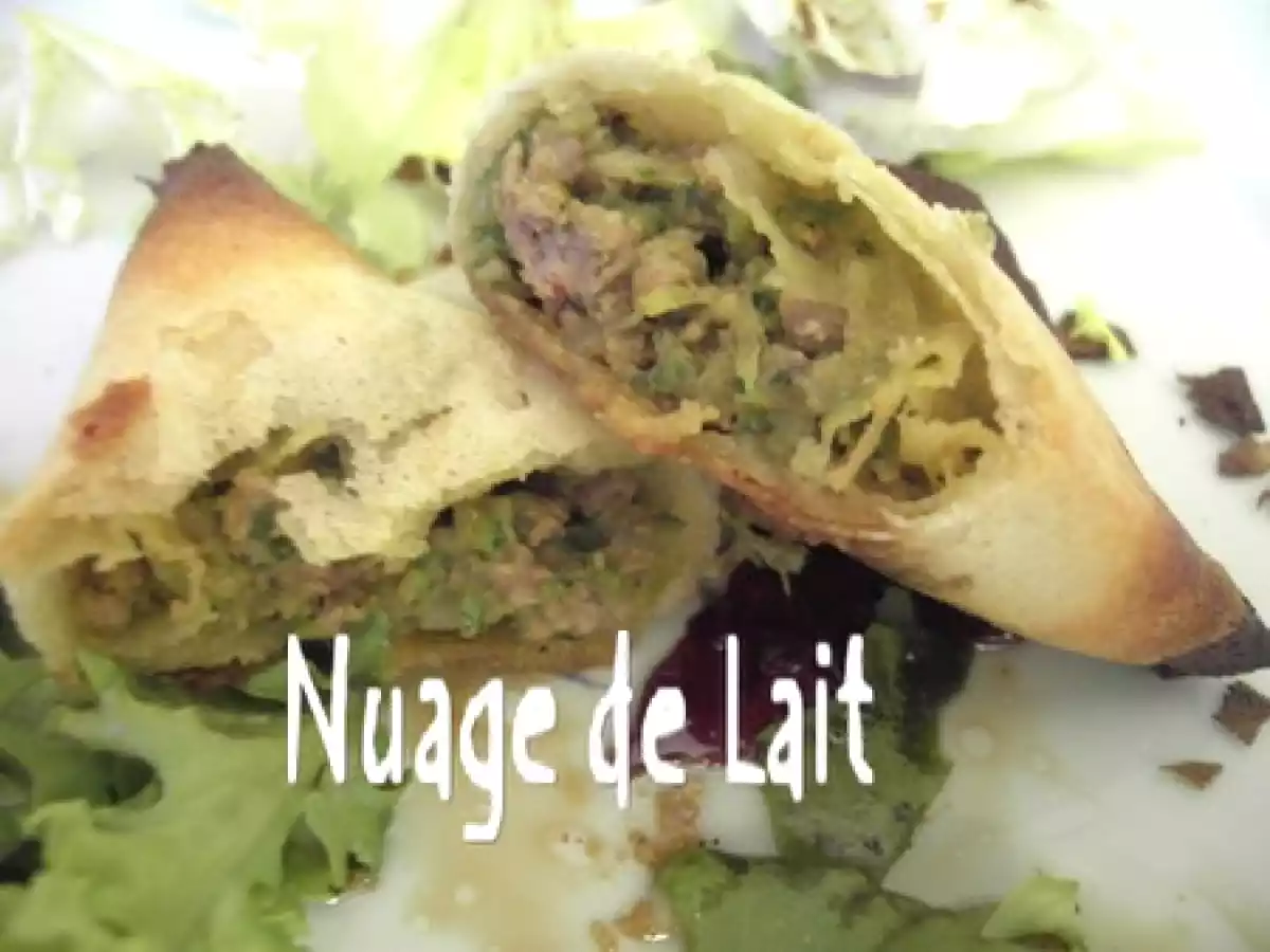 Samoussas au Boeuf et Gingembre - photo 2