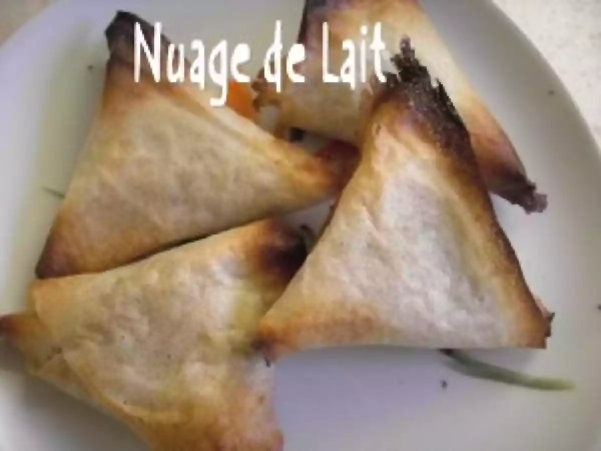 Samoussas au Boeuf et Gingembre - photo 3