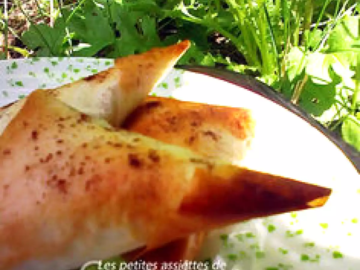 SAMOUSSAS AUX BANANES CARAMELISEES AU MIEL ET A LA CANNELLE