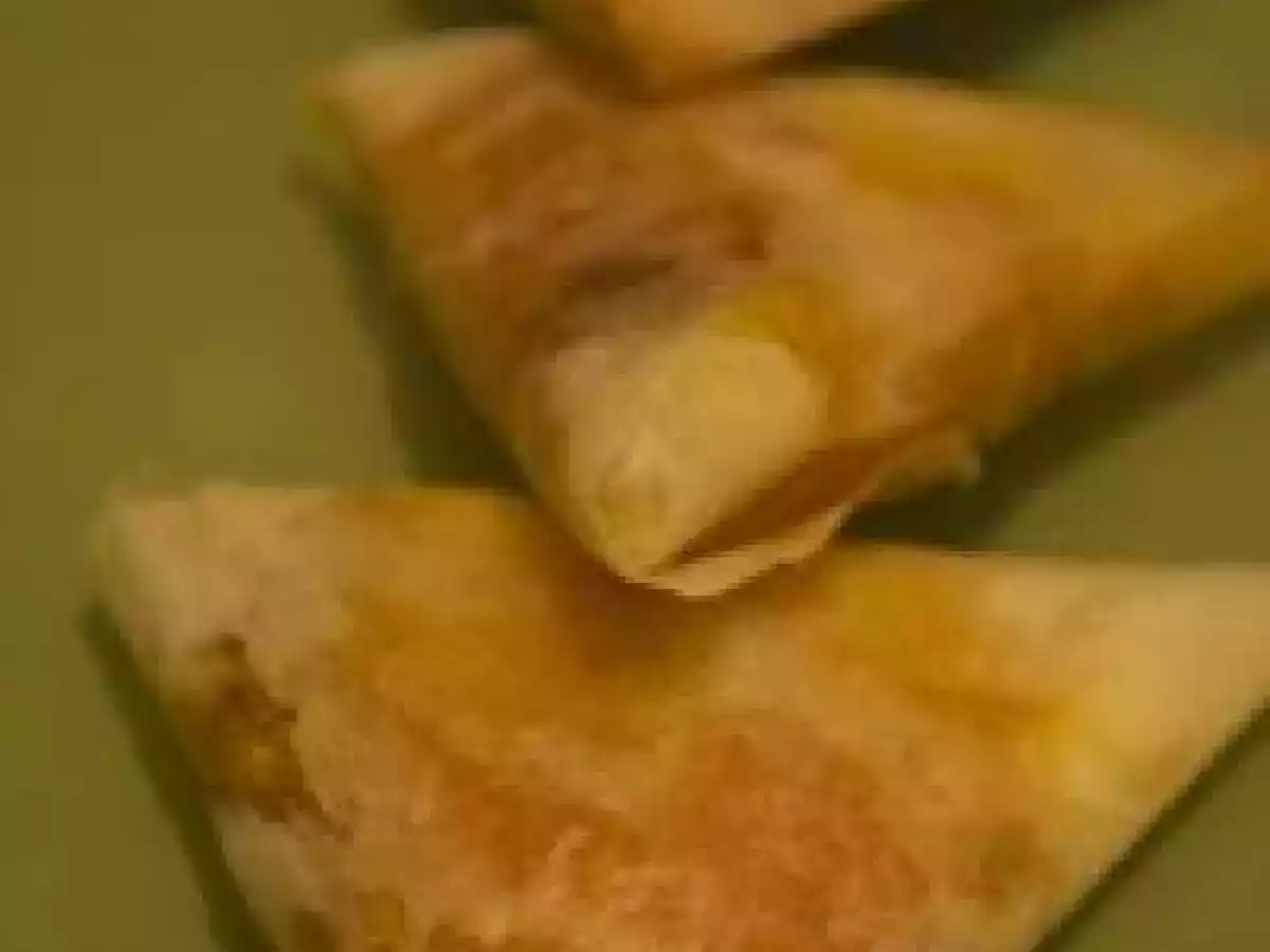 Samoussas chèvre & petits légumes - Brick de poisson aux légumes