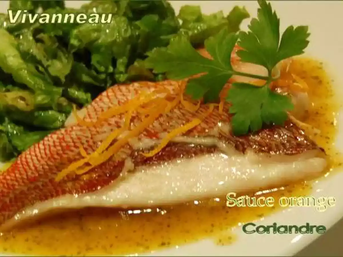 Sauce à l'orange et à la coriandre pour poisson, sans gluten - photo 2