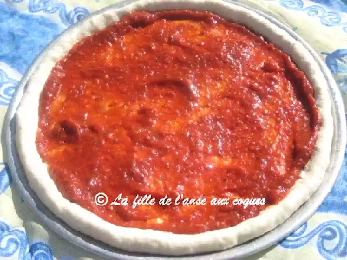 SAUCE À PIZZA GAMBINI - photo 2