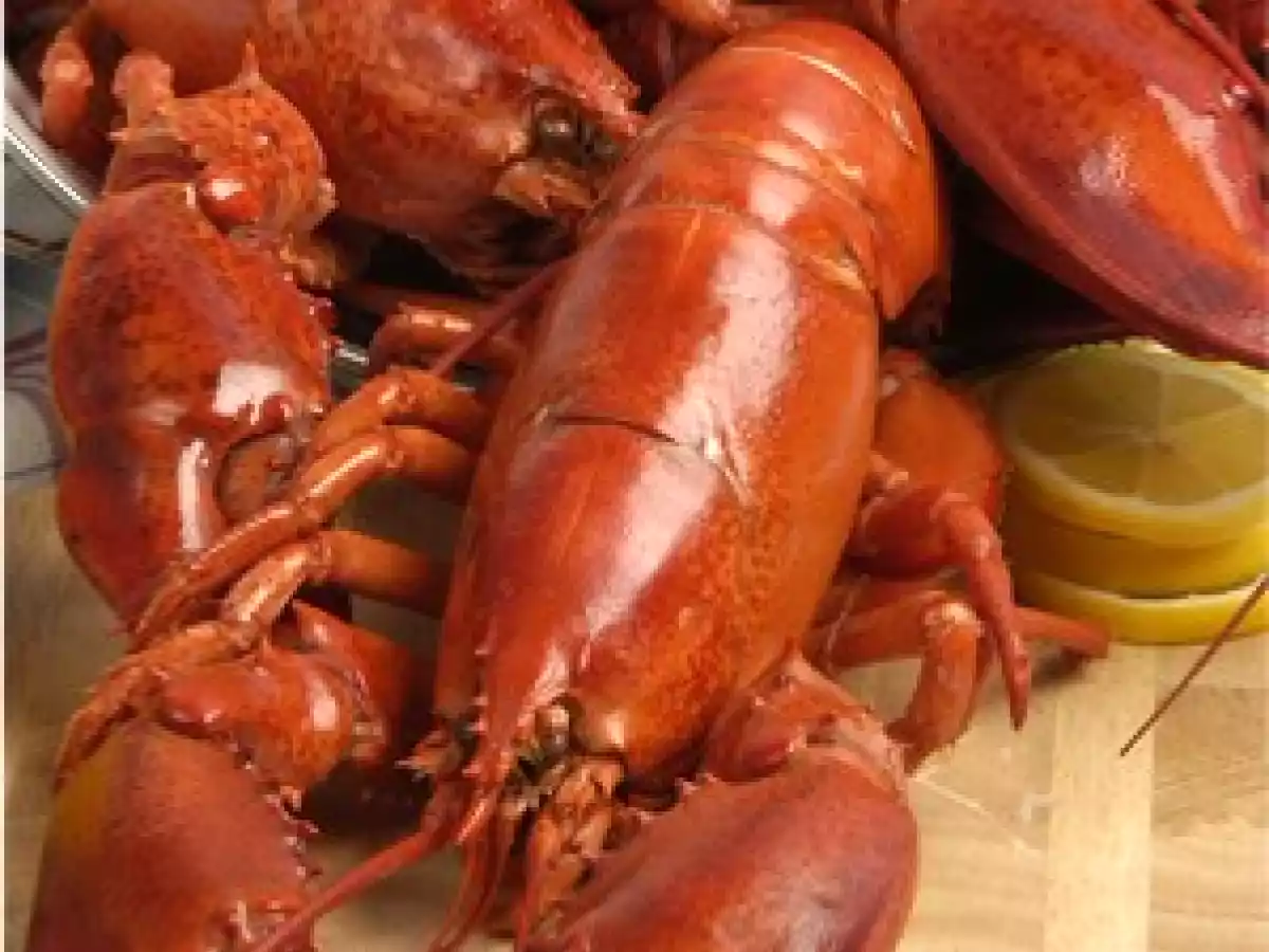 Sauce Armoricaine ou Américaine