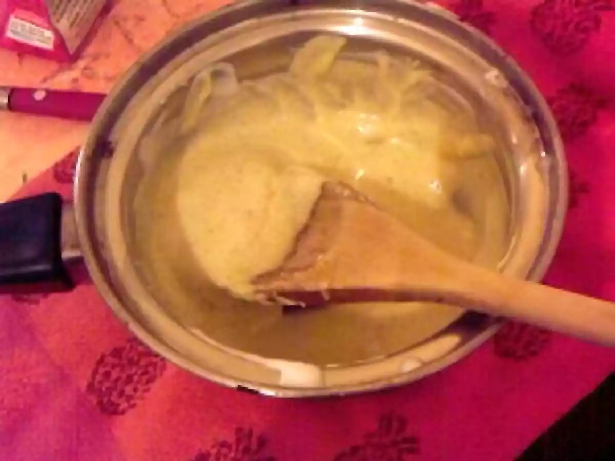 Sauce au curry et lait de coco - photo 2