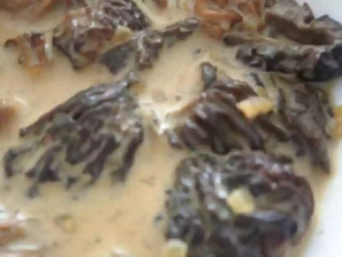 Sauce aux morilles. - photo 2