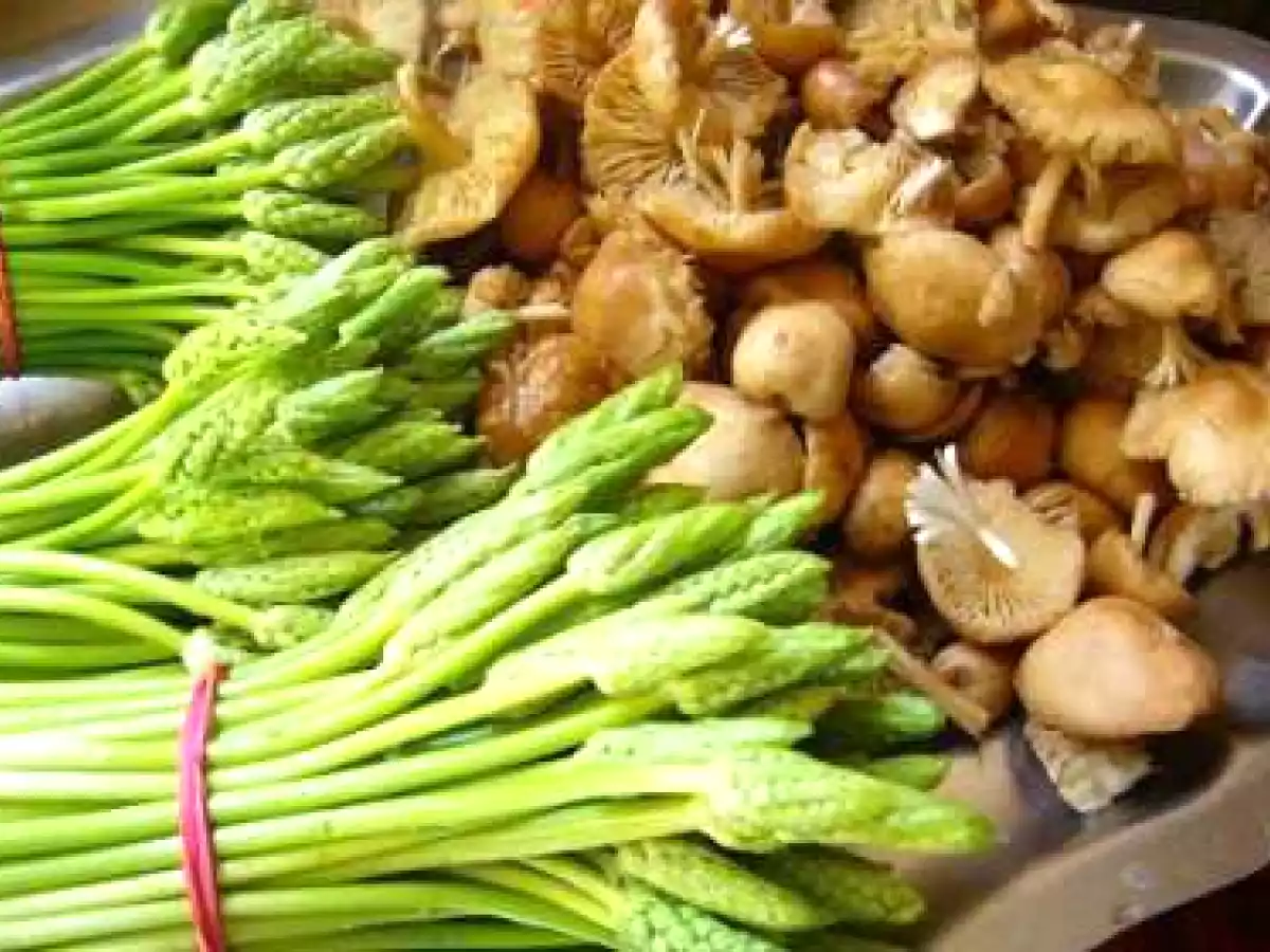Sauté d'asperges des bois et de mousserons - photo 2