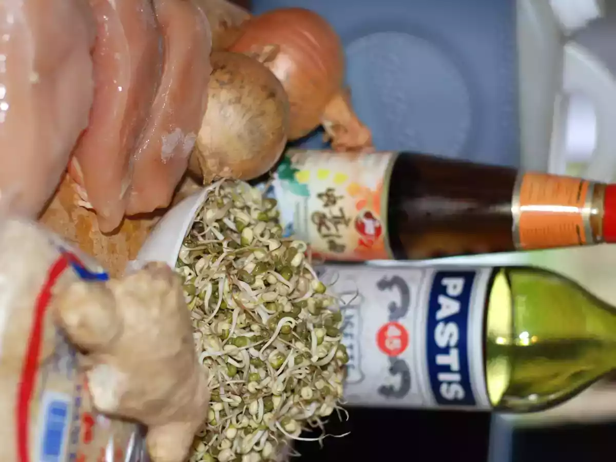 Sauté de Poulet aux nouilles chinoises et graines de soja germée