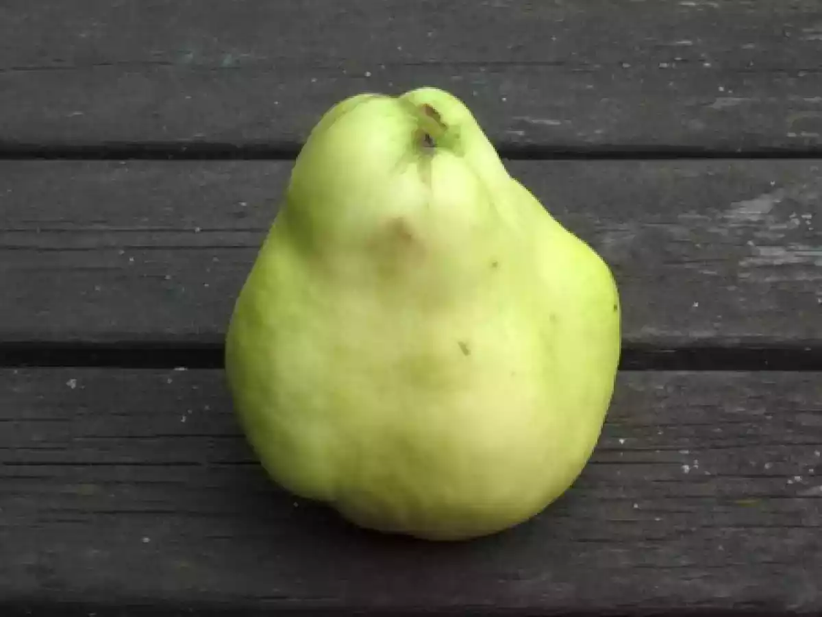 Sauté de veau aux coings façon tagine... - photo 2